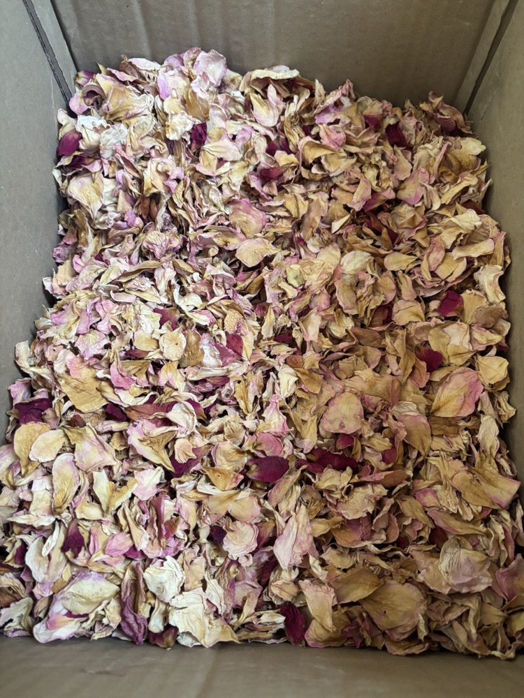 Dried rose petals