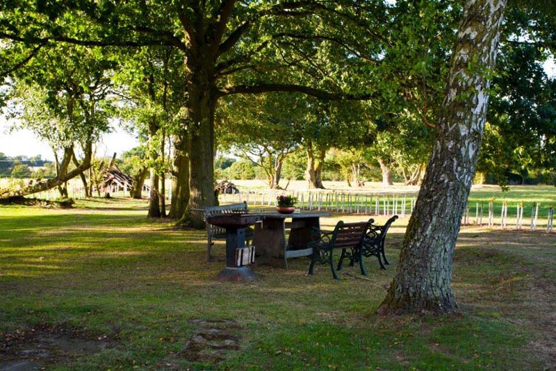 Outside, under the trees